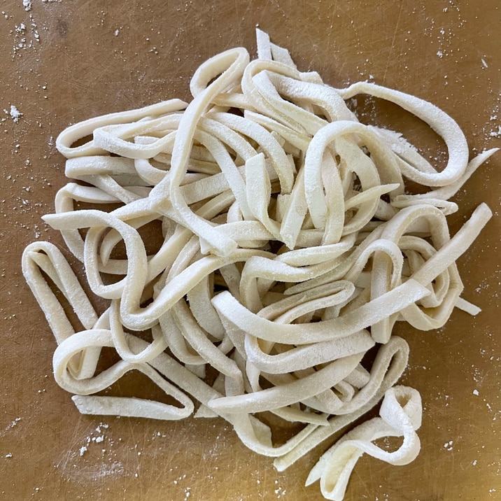 【無塩】手打ちモチモチうどん 一人前
